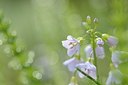 BUITEN BEELD Foto: 164252