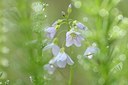BUITEN BEELD Foto: 164253