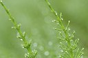 BUITEN BEELD Foto: 164308
