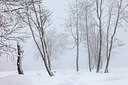 BUITEN BEELD Foto: 164409