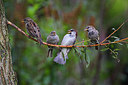 BUITEN BEELD Foto: 164414