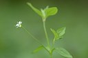 BUITEN BEELD Foto: 164482