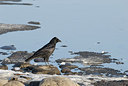 BUITEN BEELD Foto: 164498