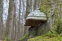 BUITEN BEELD Foto: 164532