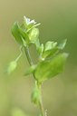BUITEN BEELD Foto: 164564