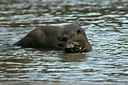 BUITEN BEELD Foto: 164639