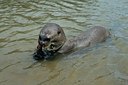 BUITEN BEELD Foto: 164642