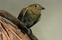 BUITEN BEELD Foto: 164665