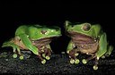 BUITEN BEELD Foto: 164675