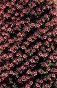 BUITEN BEELD Foto: 164727