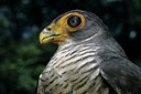 BUITEN BEELD Foto: 164758