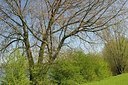 BUITEN BEELD Foto: 164818