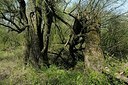 BUITEN BEELD Foto: 164822
