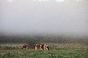 BUITEN BEELD Foto: 164837