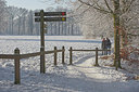 BUITEN BEELD Foto: 164923