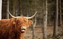 BUITEN BEELD Foto: 164931