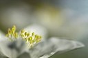 BUITEN BEELD Foto: 164971