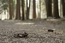 BUITEN BEELD Foto: 164987