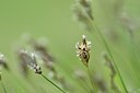 BUITEN BEELD Foto: 165089