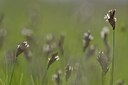 BUITEN BEELD Foto: 165093