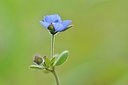 BUITEN BEELD Foto: 165096