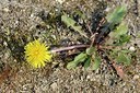 BUITEN BEELD Foto: 165099