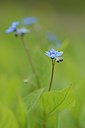BUITEN BEELD Foto: 165121