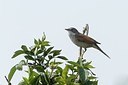 BUITEN BEELD Foto: 165131