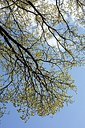 BUITEN BEELD Foto: 165179