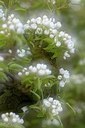 BUITEN BEELD Foto: 165240