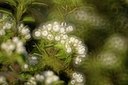 BUITEN BEELD Foto: 165243