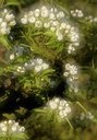 BUITEN BEELD Foto: 165247