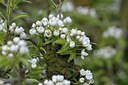 BUITEN BEELD Foto: 165261