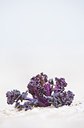 BUITEN BEELD Foto: 165265