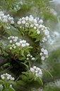 BUITEN BEELD Foto: 165274