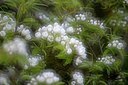 BUITEN BEELD Foto: 165275