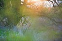 BUITEN BEELD Foto: 165283