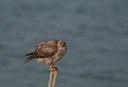 BUITEN BEELD Foto: 165314