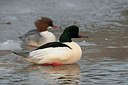 BUITEN BEELD Foto: 165326
