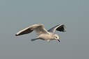 BUITEN BEELD Foto: 165338