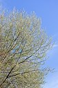 BUITEN BEELD Foto: 165363