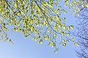 BUITEN BEELD Foto: 165364