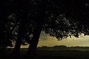 BUITEN BEELD Foto: 165389