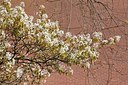 BUITEN BEELD Foto: 165390