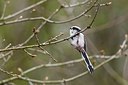 BUITEN BEELD Foto: 165432