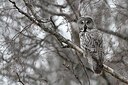BUITEN BEELD Foto: 165470