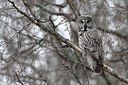 BUITEN BEELD Foto: 165471