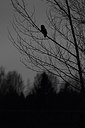BUITEN BEELD Foto: 165473