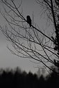 BUITEN BEELD Foto: 165475
