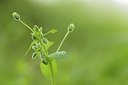 BUITEN BEELD Foto: 165480